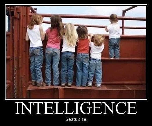 Obrázek Inteligence 06-04-2012