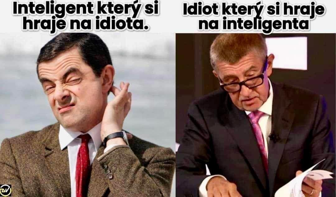 Obrázek Inteligent idiot