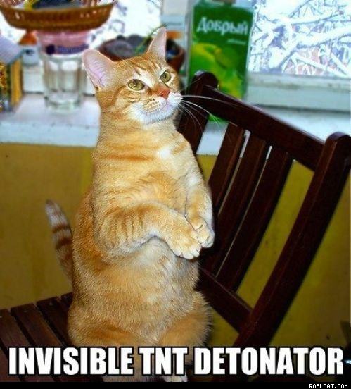Obrázek Invisible TNT Detonator