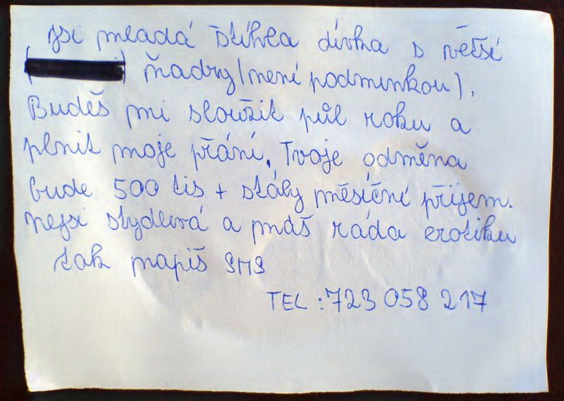 Obrázek InzeratBrnoNoveSady