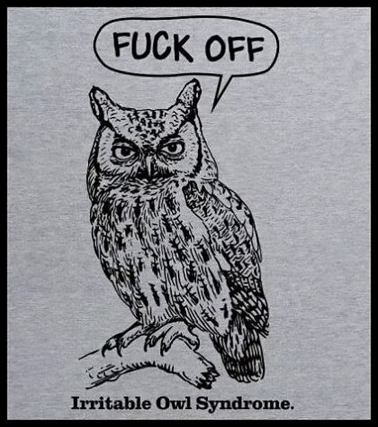Obrázek Irritable-owl-syndrome