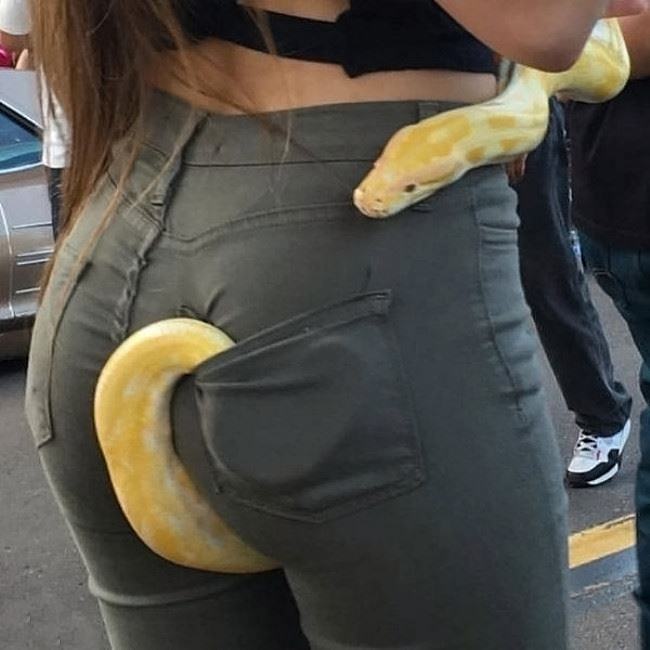 Obrázek Is That A Snake In Your Pocket