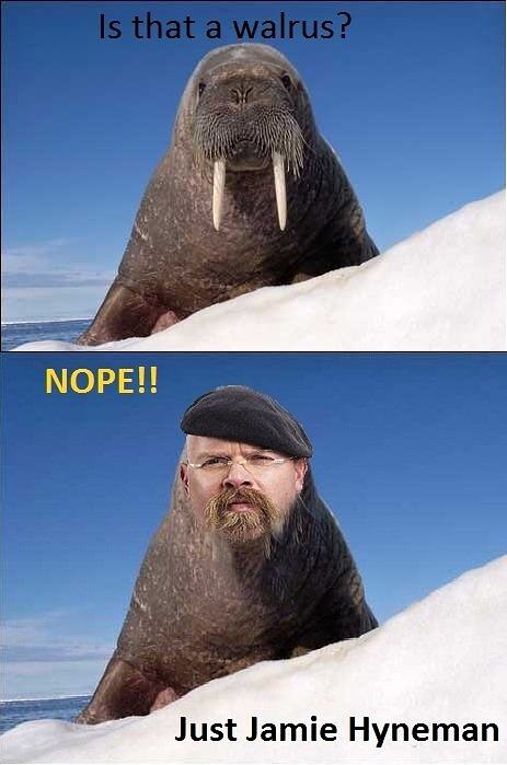Obrázek Is that a Walrus