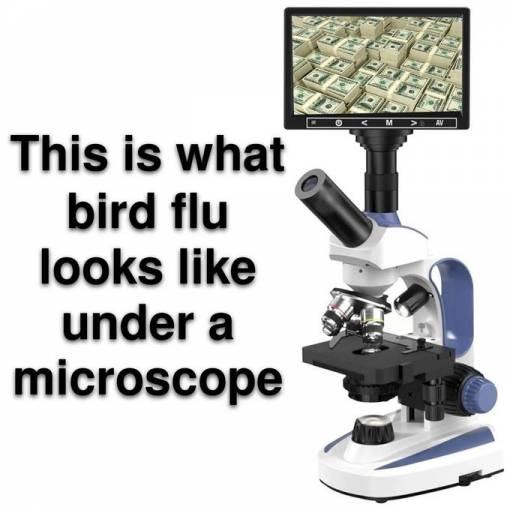 Obrázek Its not cheep
