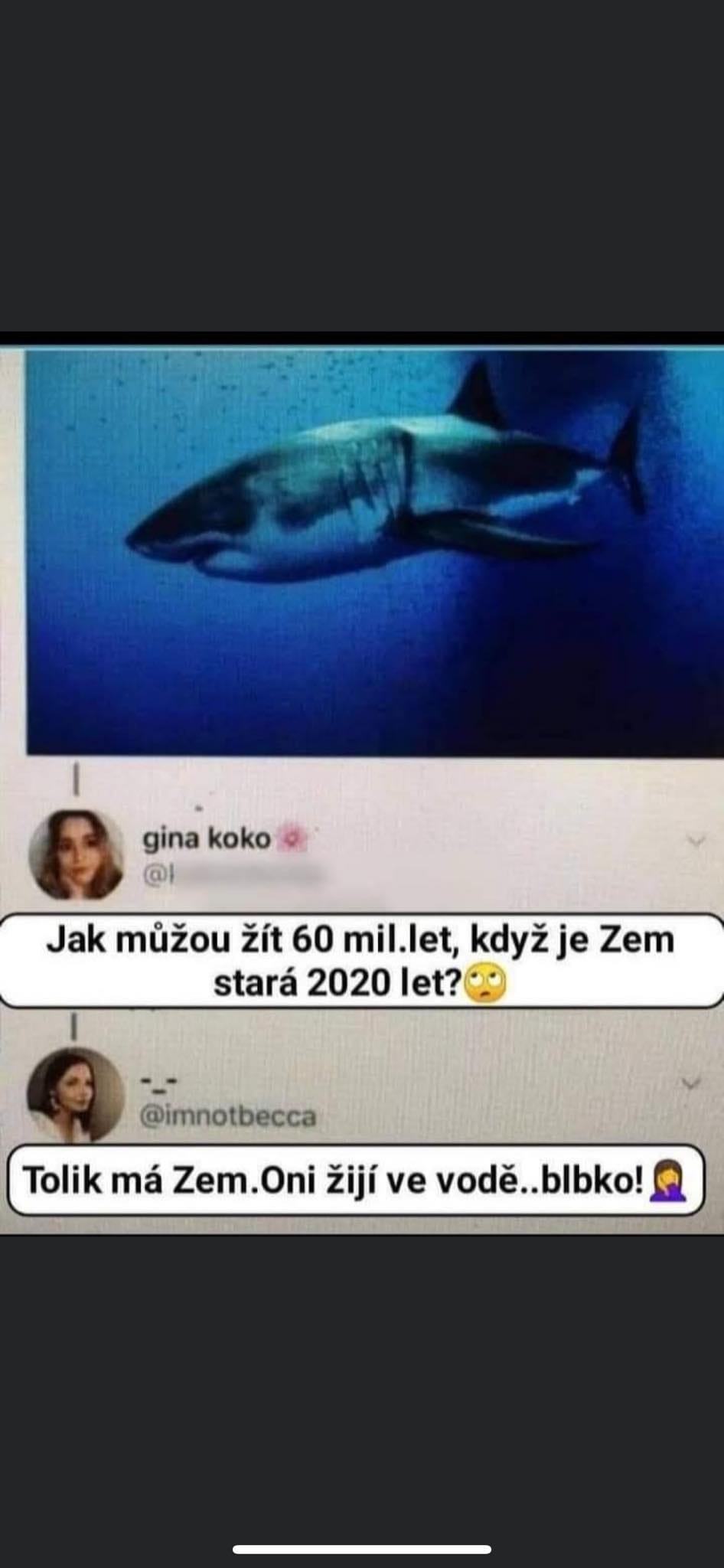Obrázek Ja bych to uznal