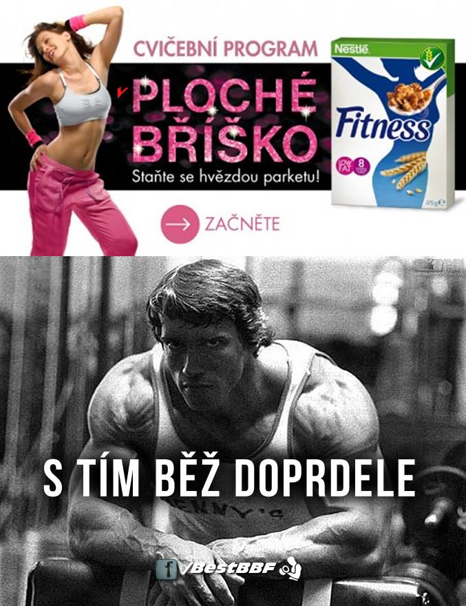 Obrázek Jak na ploche brisko