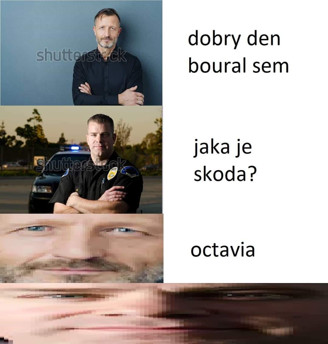 Obrázek Jaka skoda