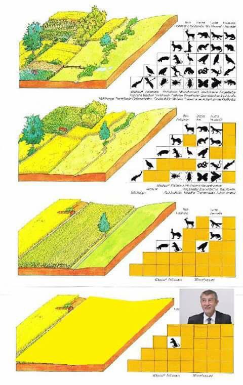 Obrázek Jen tak dal Andrejko