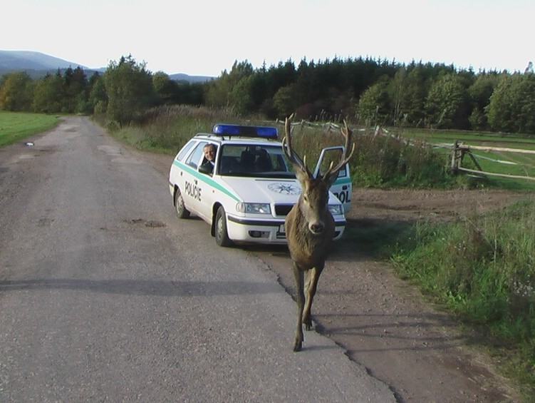 Obrázek Jurasek 004