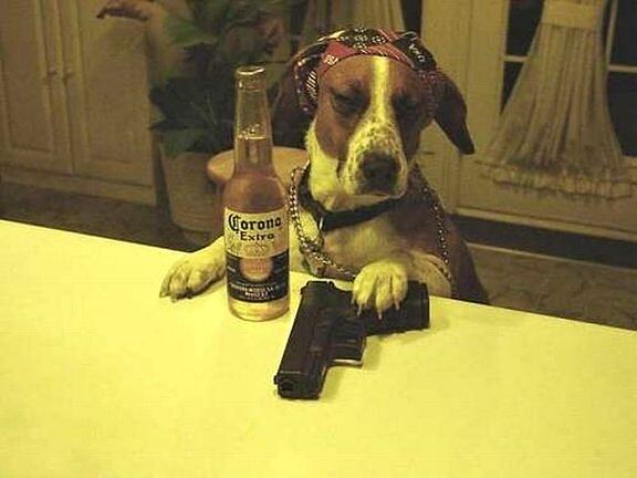 Obrázek Just Another Gangsta Dog 