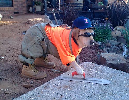 Obrázek Just paving this driveway - nothing to see here