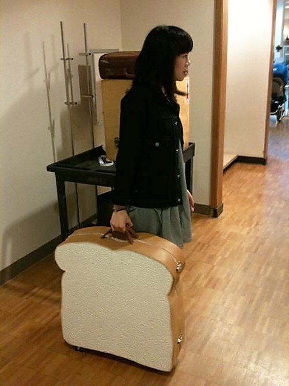 Obrázek K-The Sandwich Suitcase