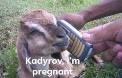 Obrázek KADYROVS WIFE