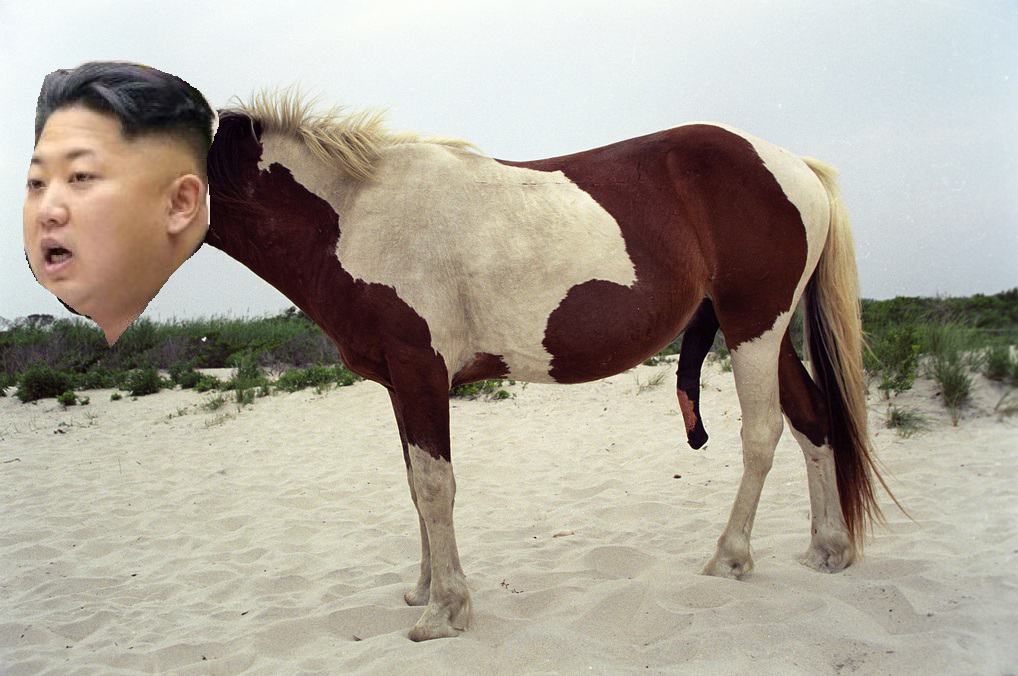 Obrázek KIM CONG KUN