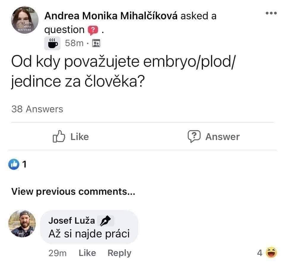 Obrázek K volbam pouze lide