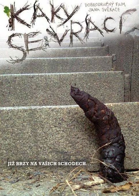 Obrázek Kaky se vraci