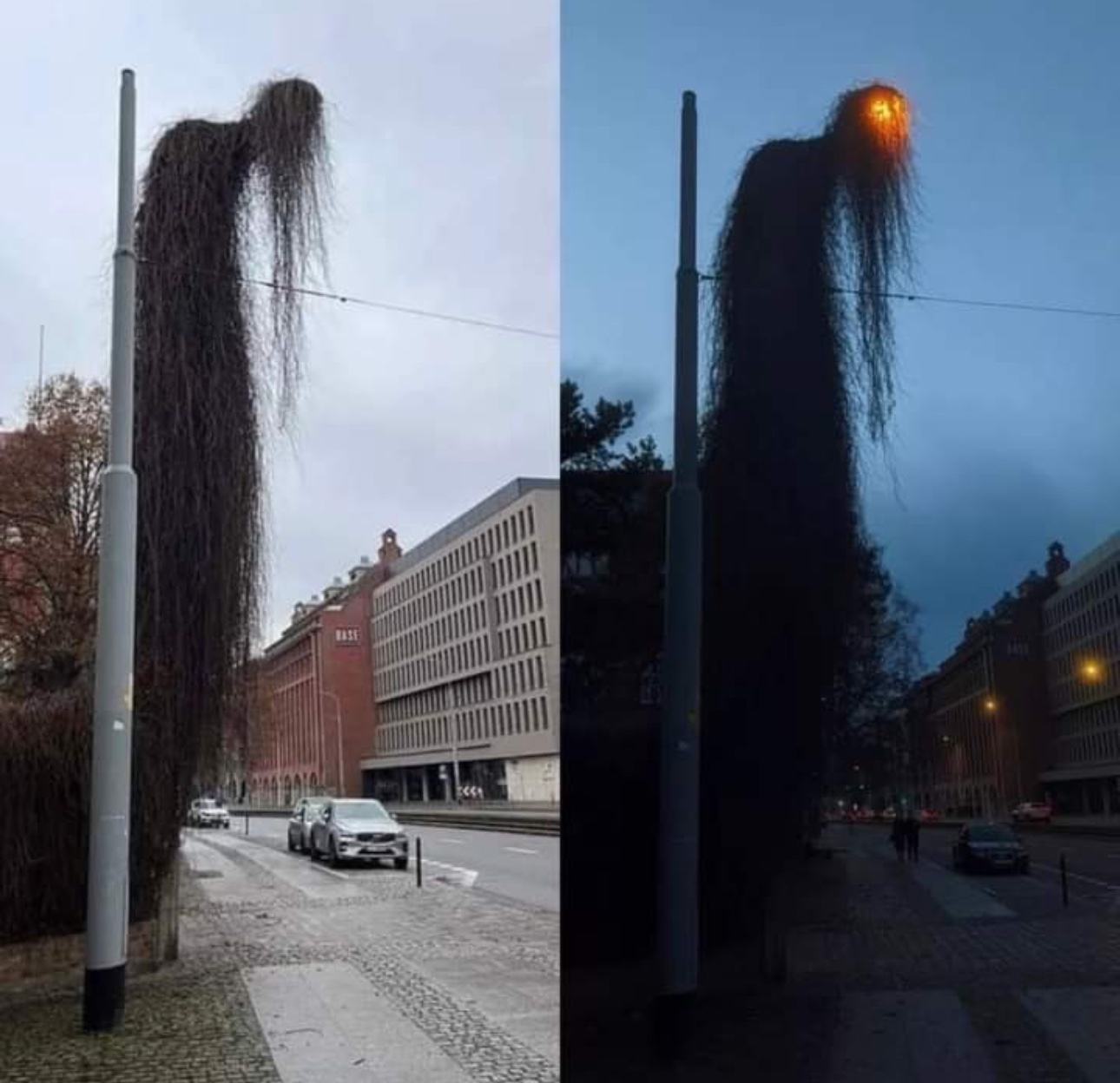 Obrázek Kandelaber