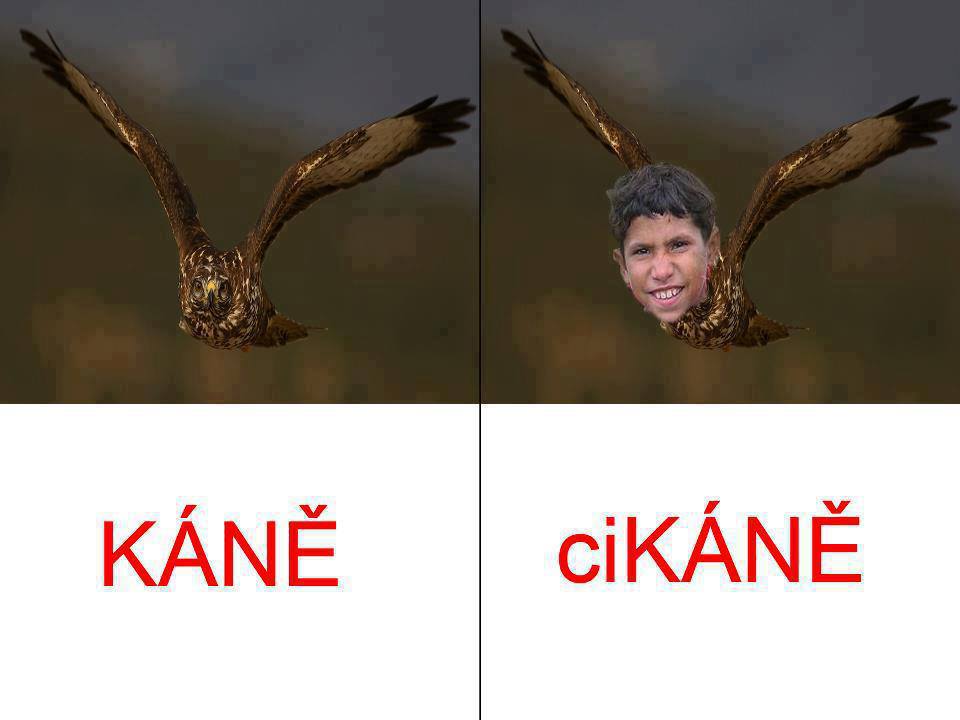 Obrázek Kane-Cikane