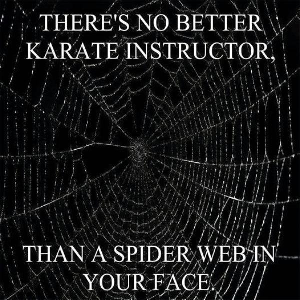 Obrázek Karate Instructor