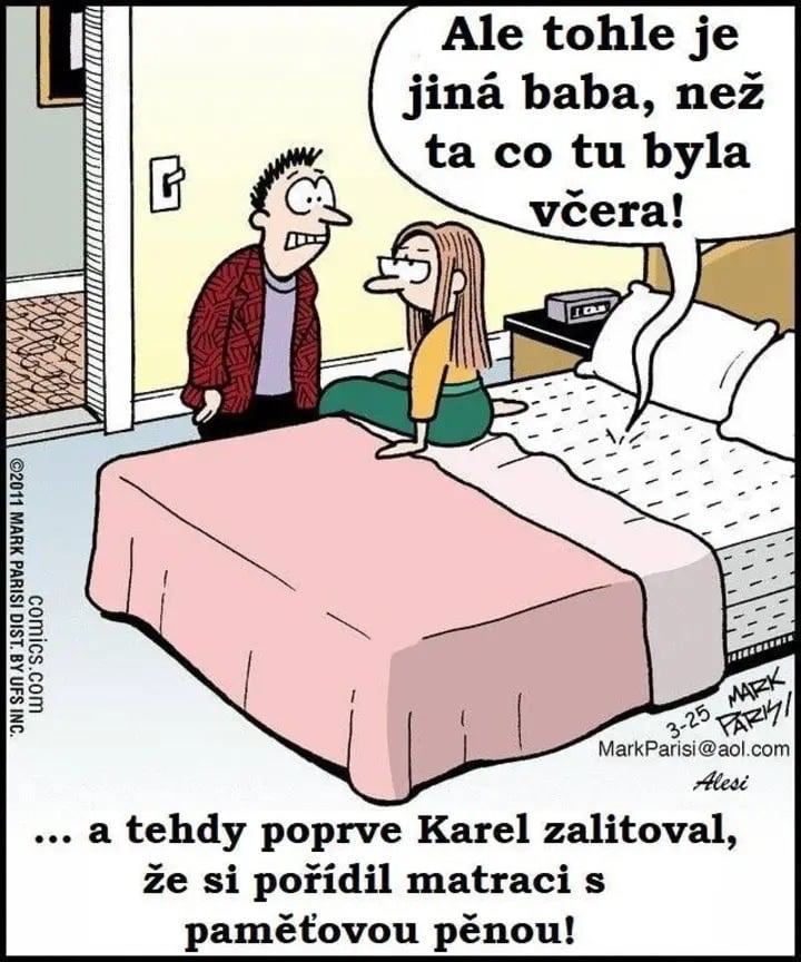 Obrázek Karlova chyba