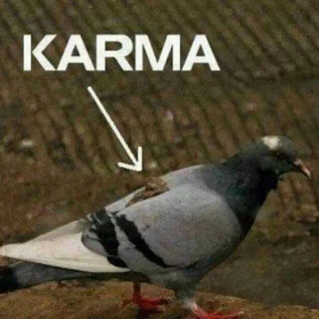Obrázek Karma    
