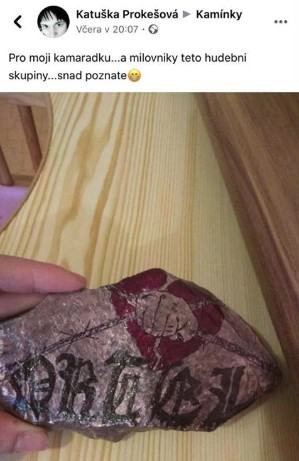 Obrázek Kazdy spravny neandrtalec potrebuje pestni klin