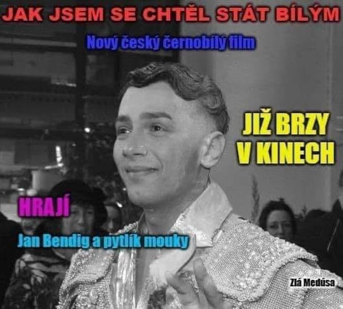 Obrázek Kdyz nemate rasistu tak tam dejte agenta provokatera