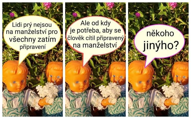 Obrázek Kecej si do svyho