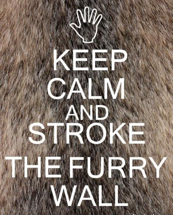 Obrázek Keep Calm and Stroke the Furry Wall