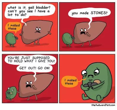 Obrázek Kidney stones 