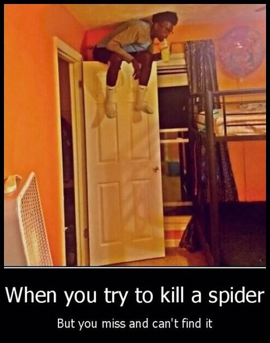 Obrázek Killing A Spider
