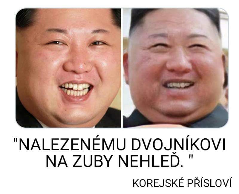 Obrázek Kim dvojnik