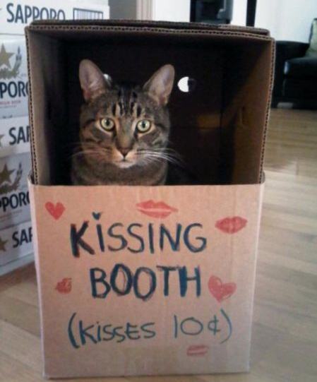 Obrázek Kissing booth 2