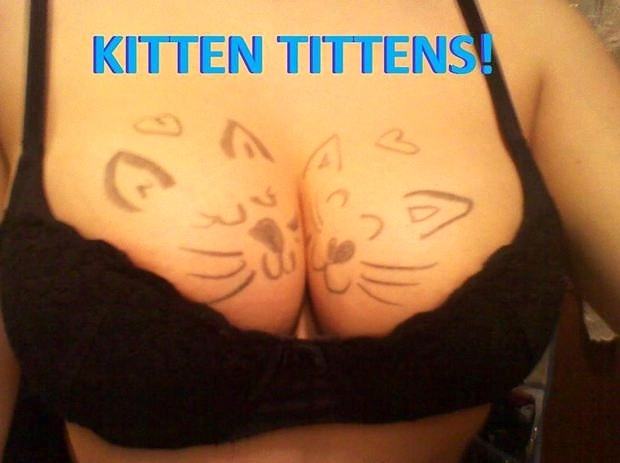 Obrázek Kitten titens 21-02-2012