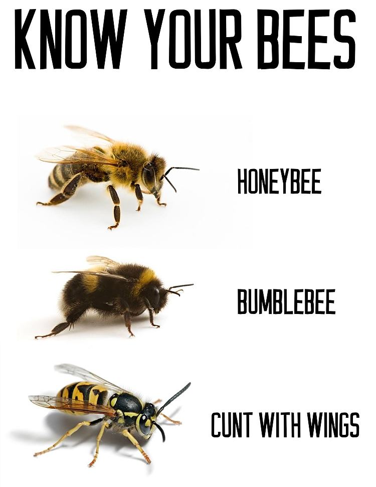 Obrázek Know Your Bees  