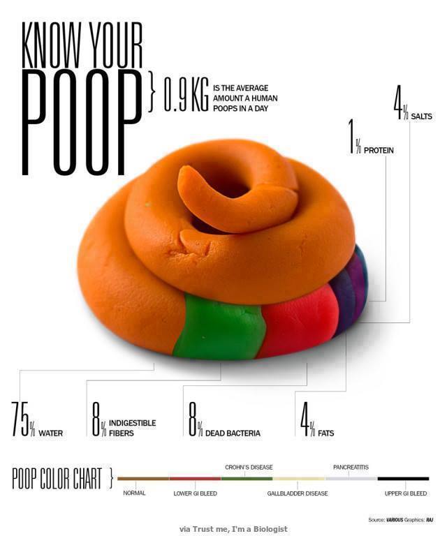 Obrázek Know your poop