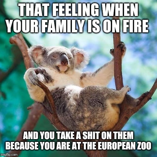 Obrázek Koala v EU