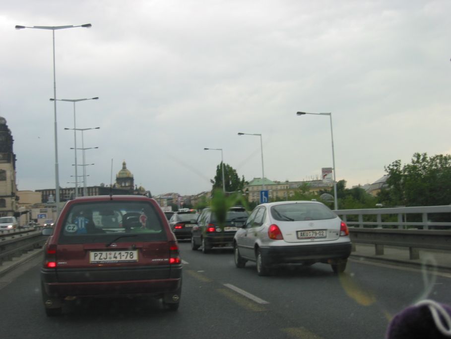 Obrázek Kobylka4