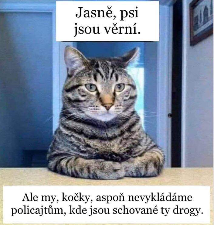 Obrázek Kocky nejsou praskaci