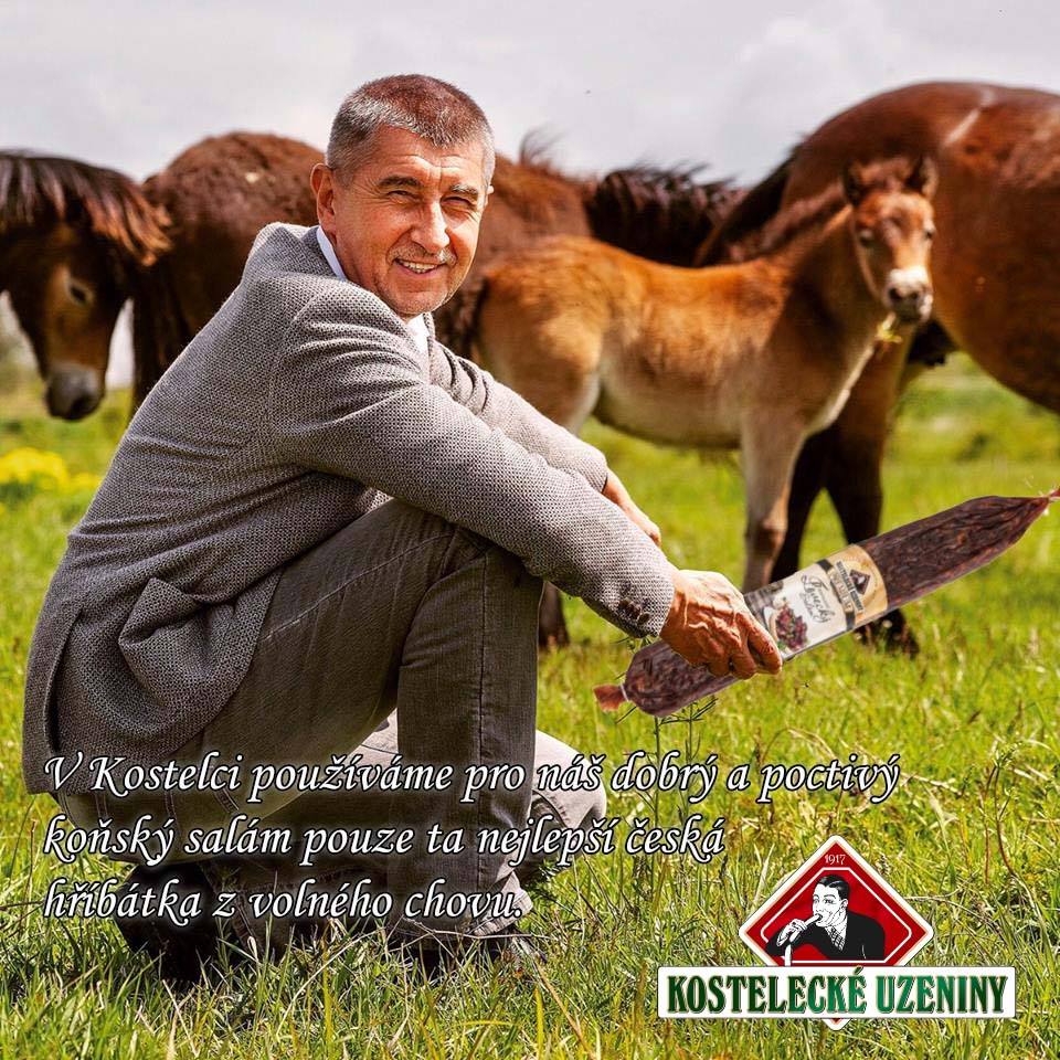 Obrázek Konsky salam