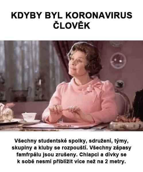 Obrázek Koronvirus dolores