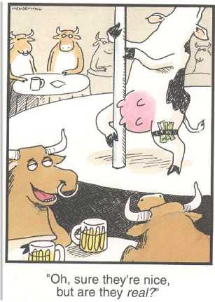 Obrázek Kravy
