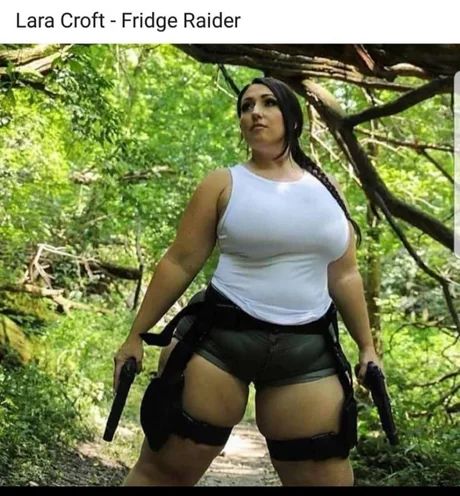 Obrázek LC - fridge raider