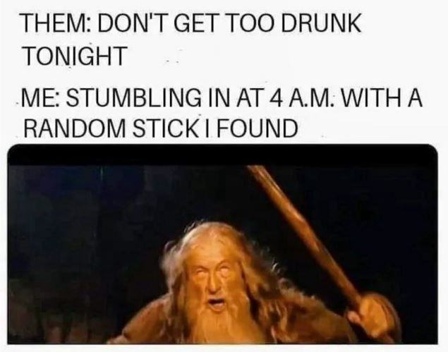 Obrázek LOTR - drunk
