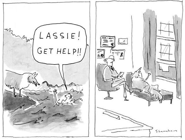 Obrázek Lassie - 29-04-2012