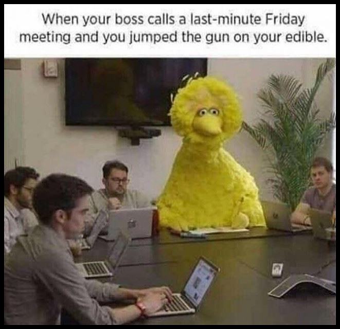 Obrázek Last Minute MeetinG