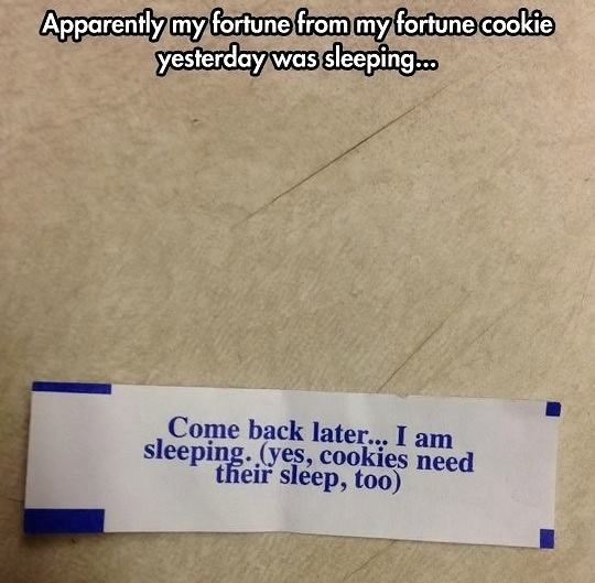 Obrázek Lazy-fortune-cookie