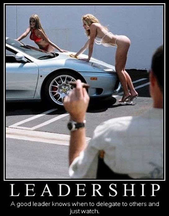 Obrázek Leadership
