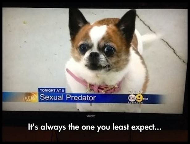 Obrázek Least&nbsp;Expect