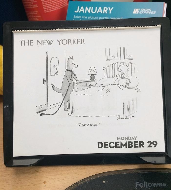 Obrázek Leave it on